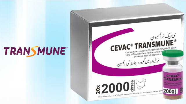 Marush Poultry Vaccines | CEVA’s Sole Distributor in Pakistan