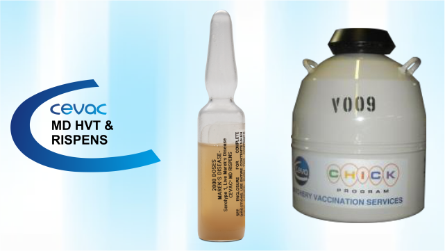 Marush Poultry Vaccines | CEVA’s Sole Distributor in Pakistan